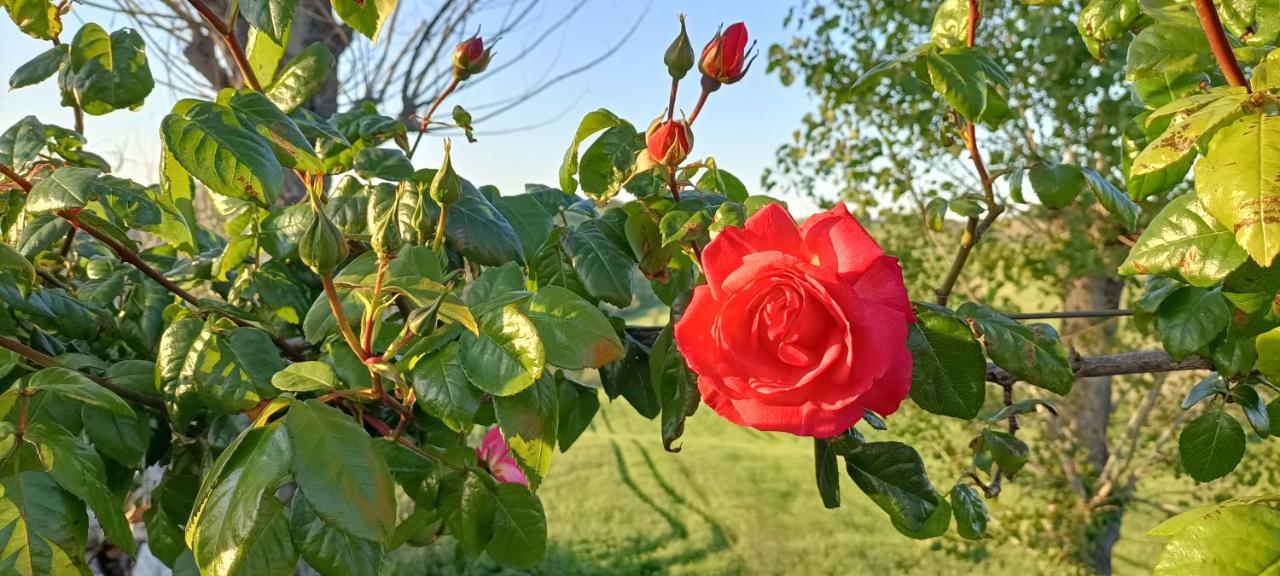 Отель Casale Il Girasole Barbara Экстерьер фото